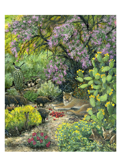Picnic Under the Ironwood mountain lion with javelina